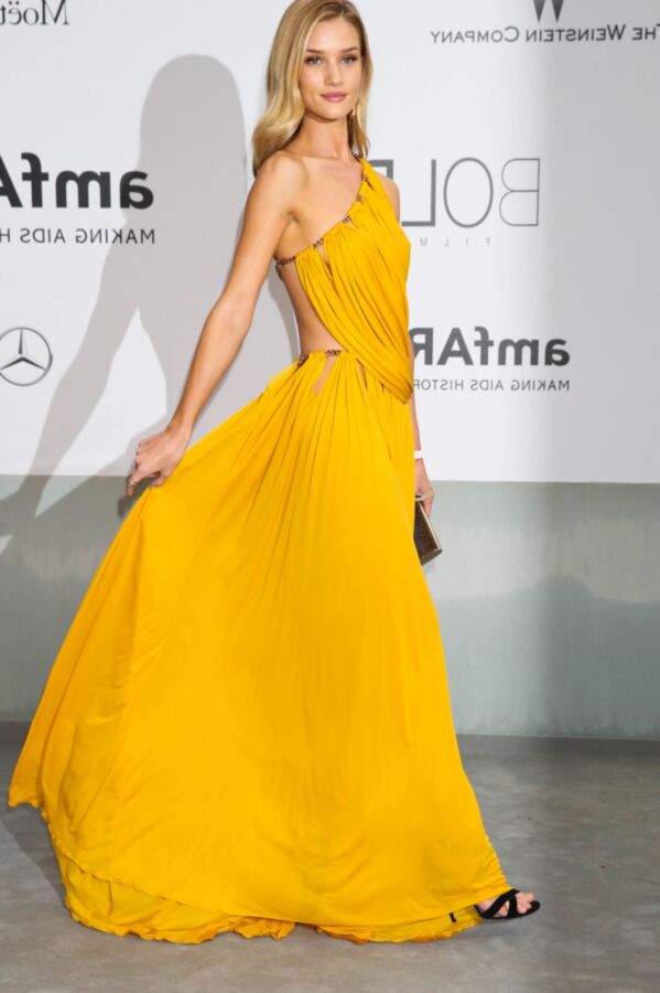 Rosie Huntington-Whiteley - amfAR&#;s