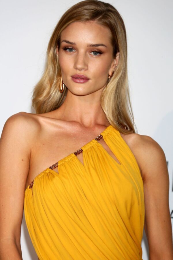 Rosie Huntington-Whiteley - amfAR&#;s