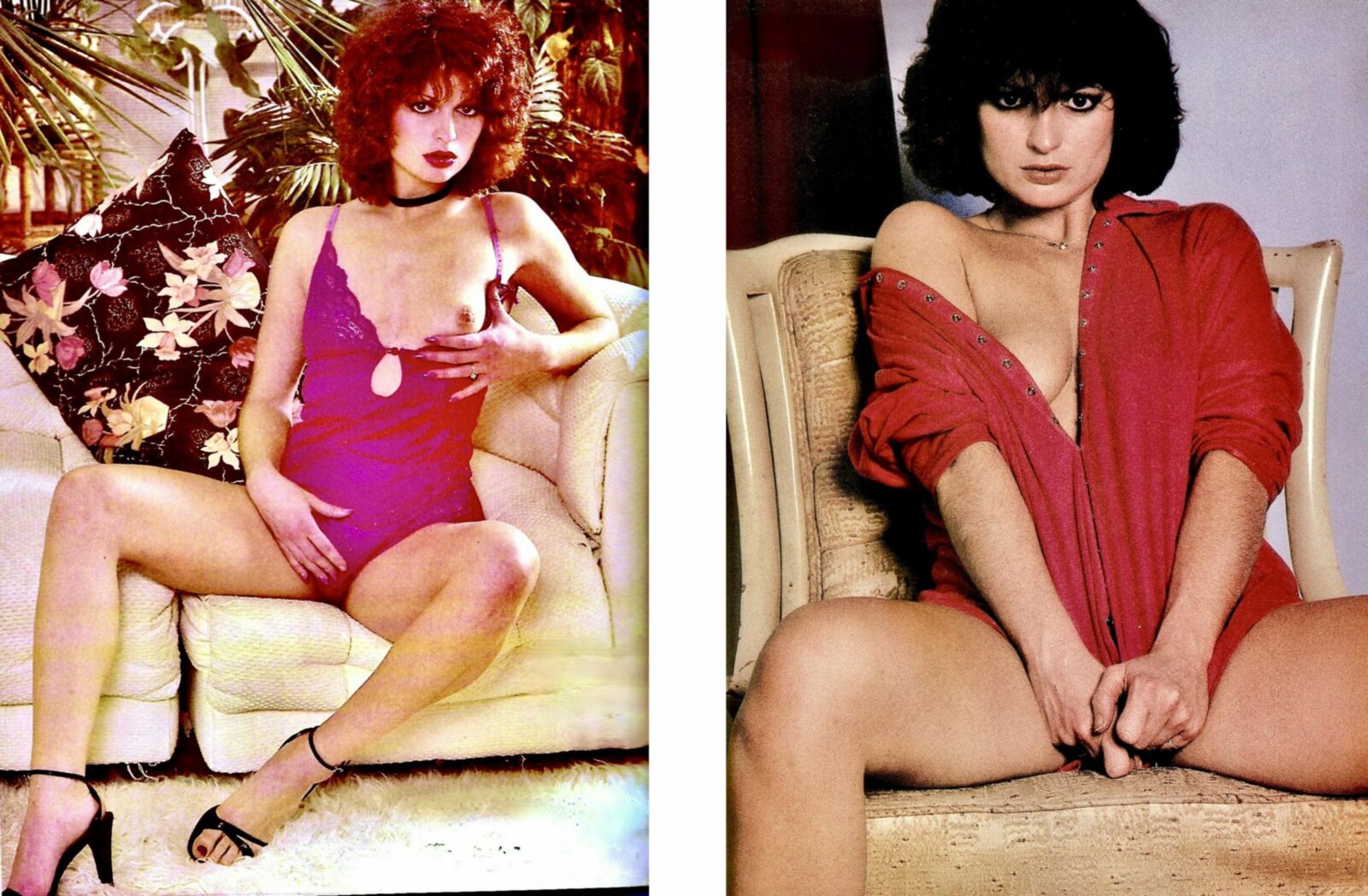 KELLY NICHOLS 1980s classic top star