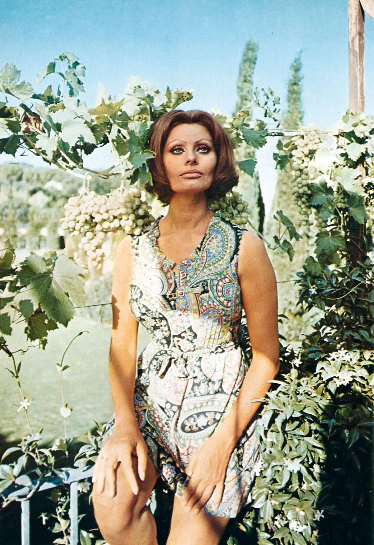 Sophia Loren 