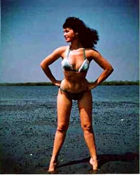 Coleção Bettie Page Vol.