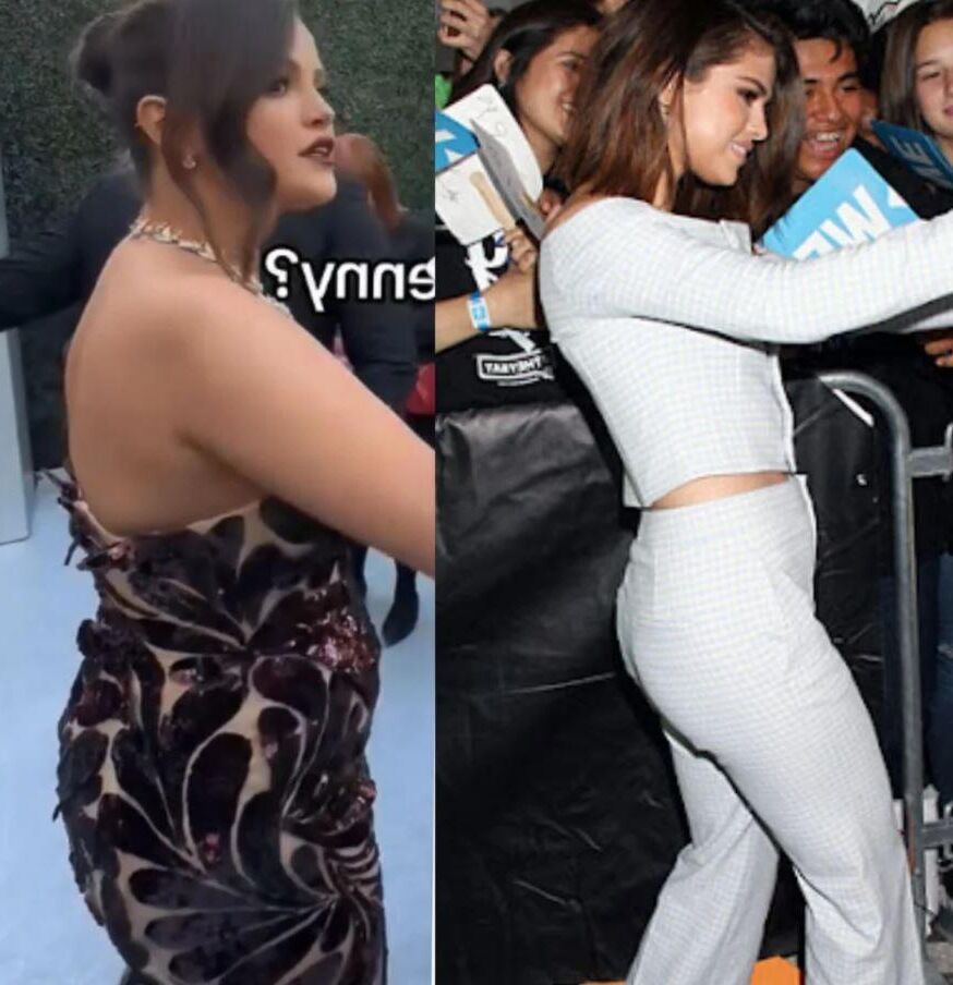 Selena Gomez em forma de gordura