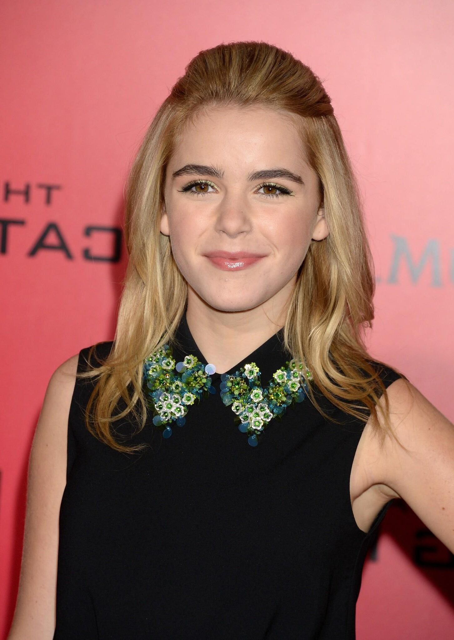 Kiernan Shipka