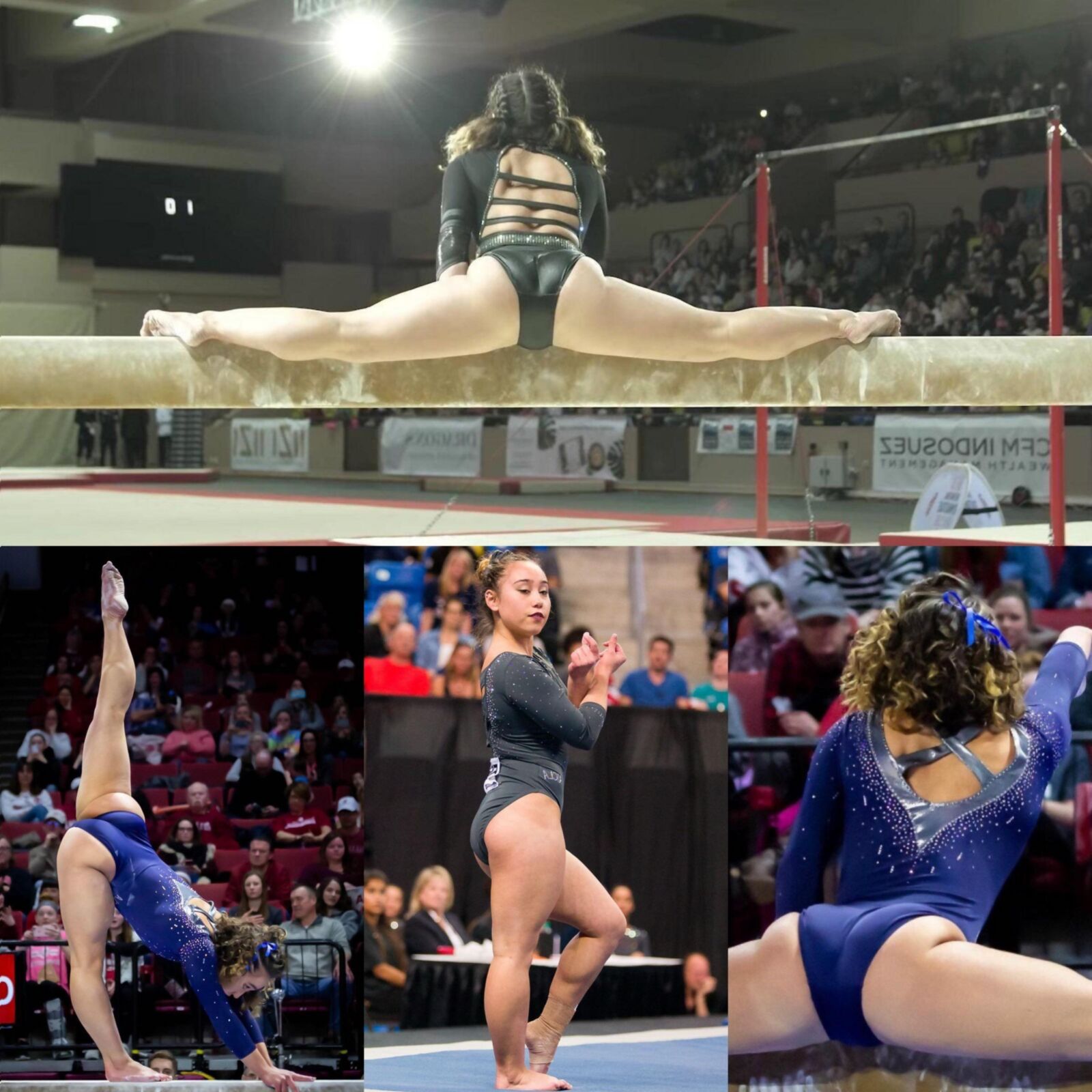 Katelyn Ohashi und ihr wunderschöner großer, fetter Arsch.