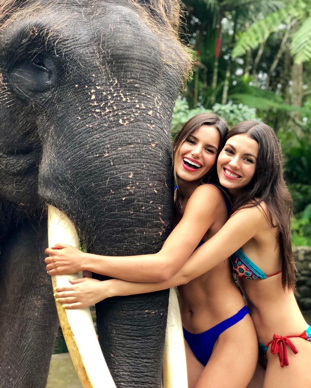 Victoria Justice Beautiful Midfriff Pics