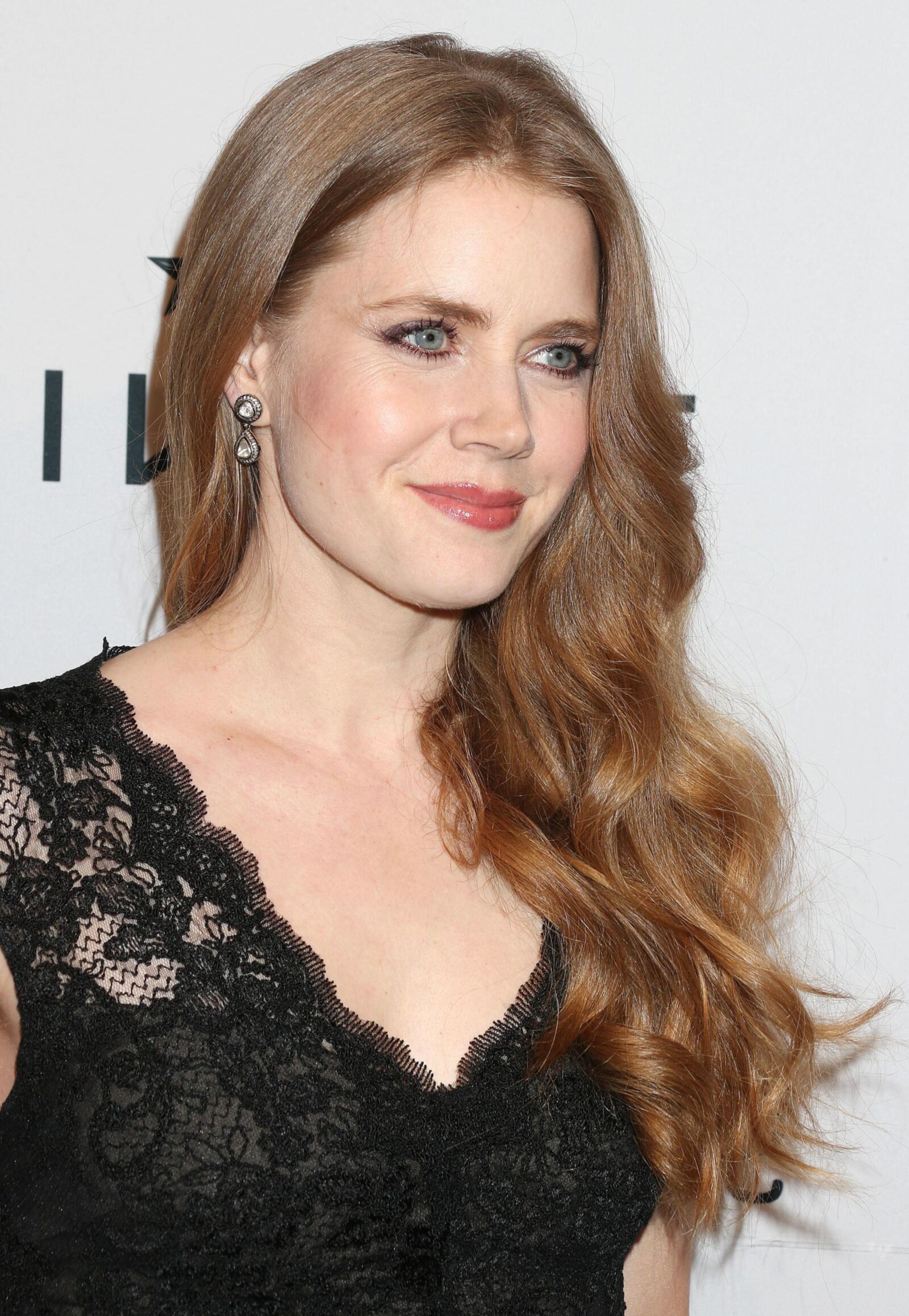 Amy Adams Die Nacht der Hollywood -Reporter -Nominierten