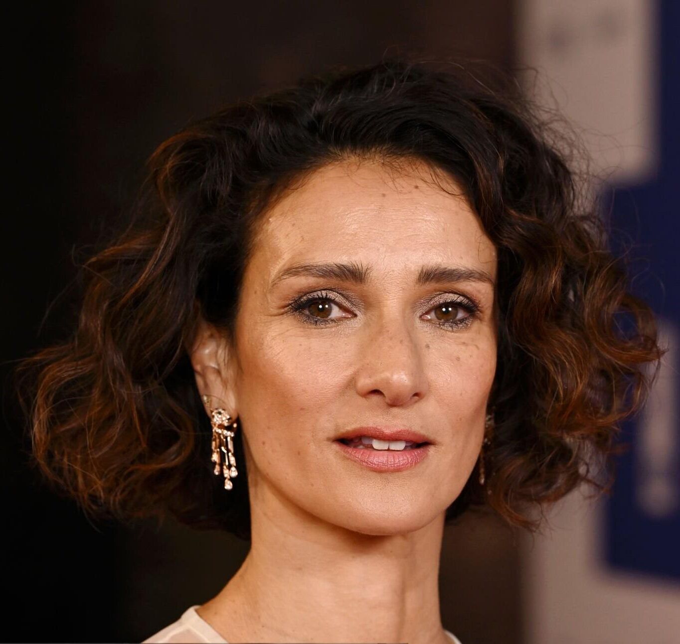 Álbum indira varma