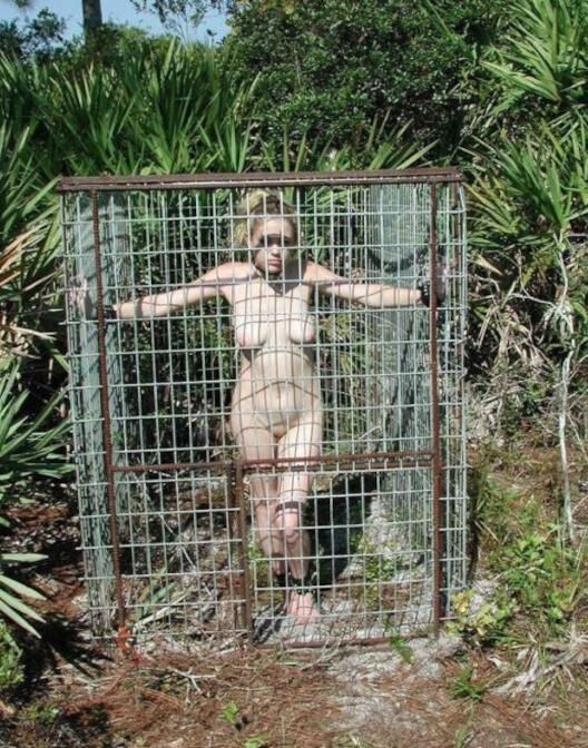 Caged Women off the Net