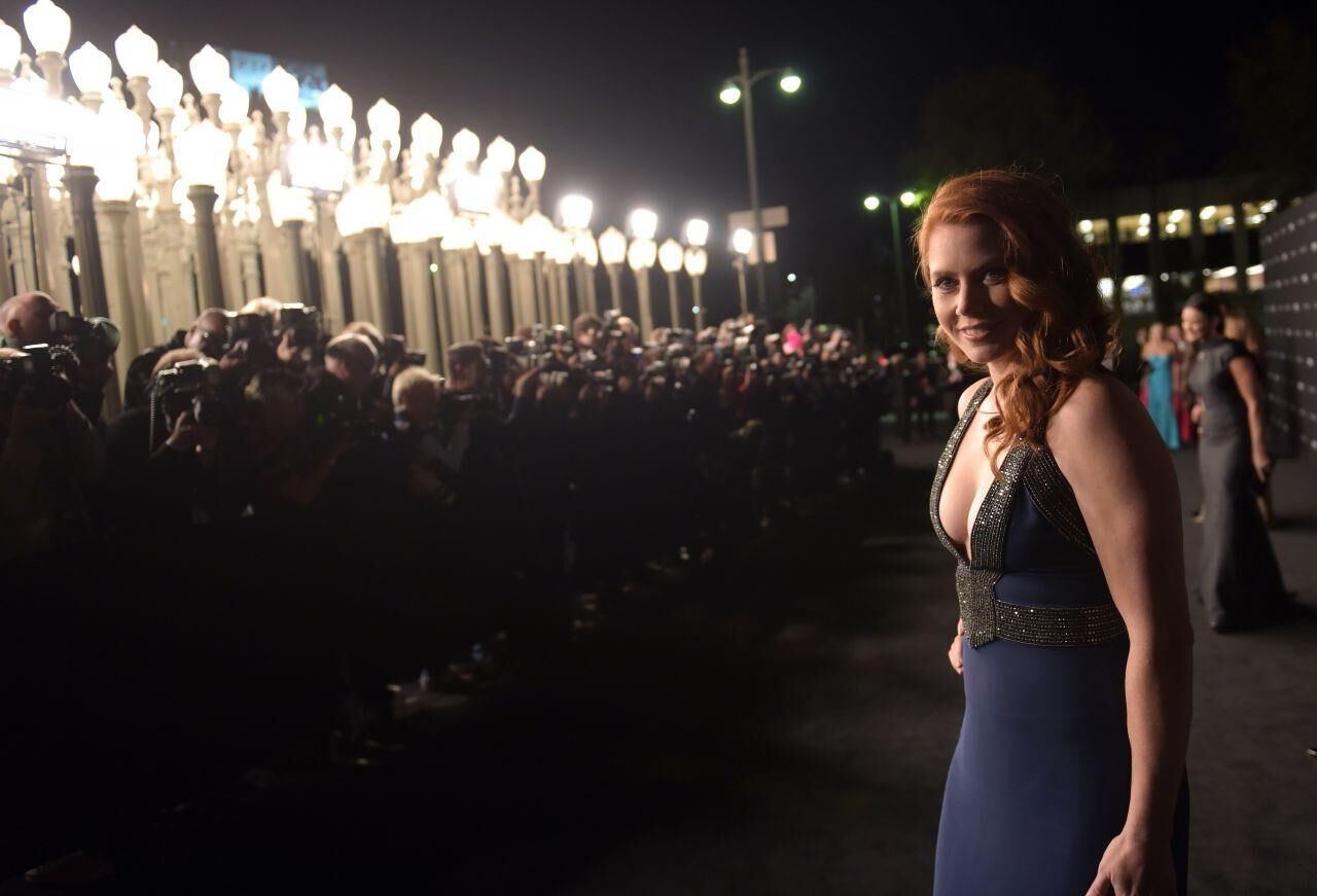 Amy Adams - Arte de lacma