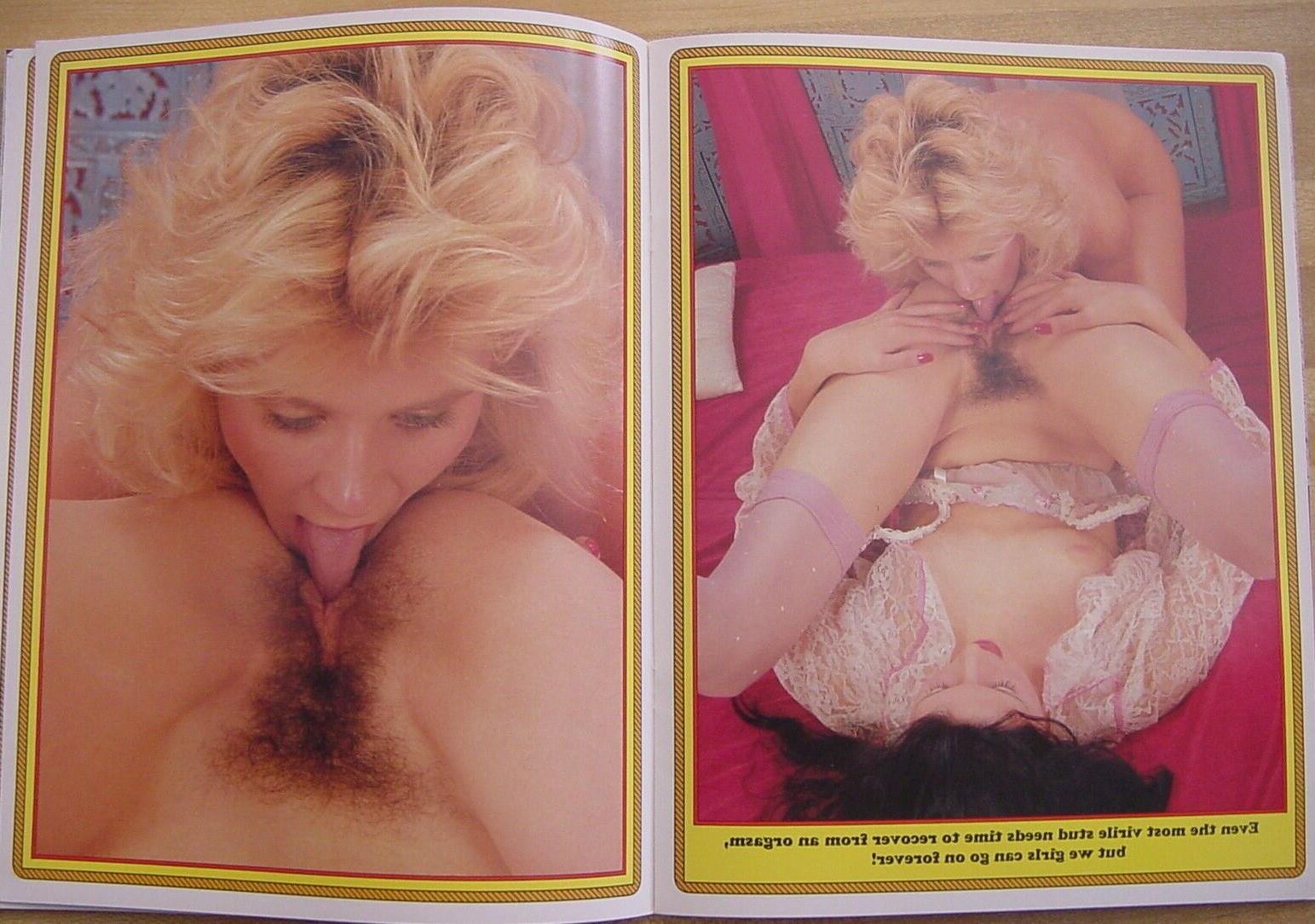 Ginger Lynn 'Lesbo Lassies' Revista