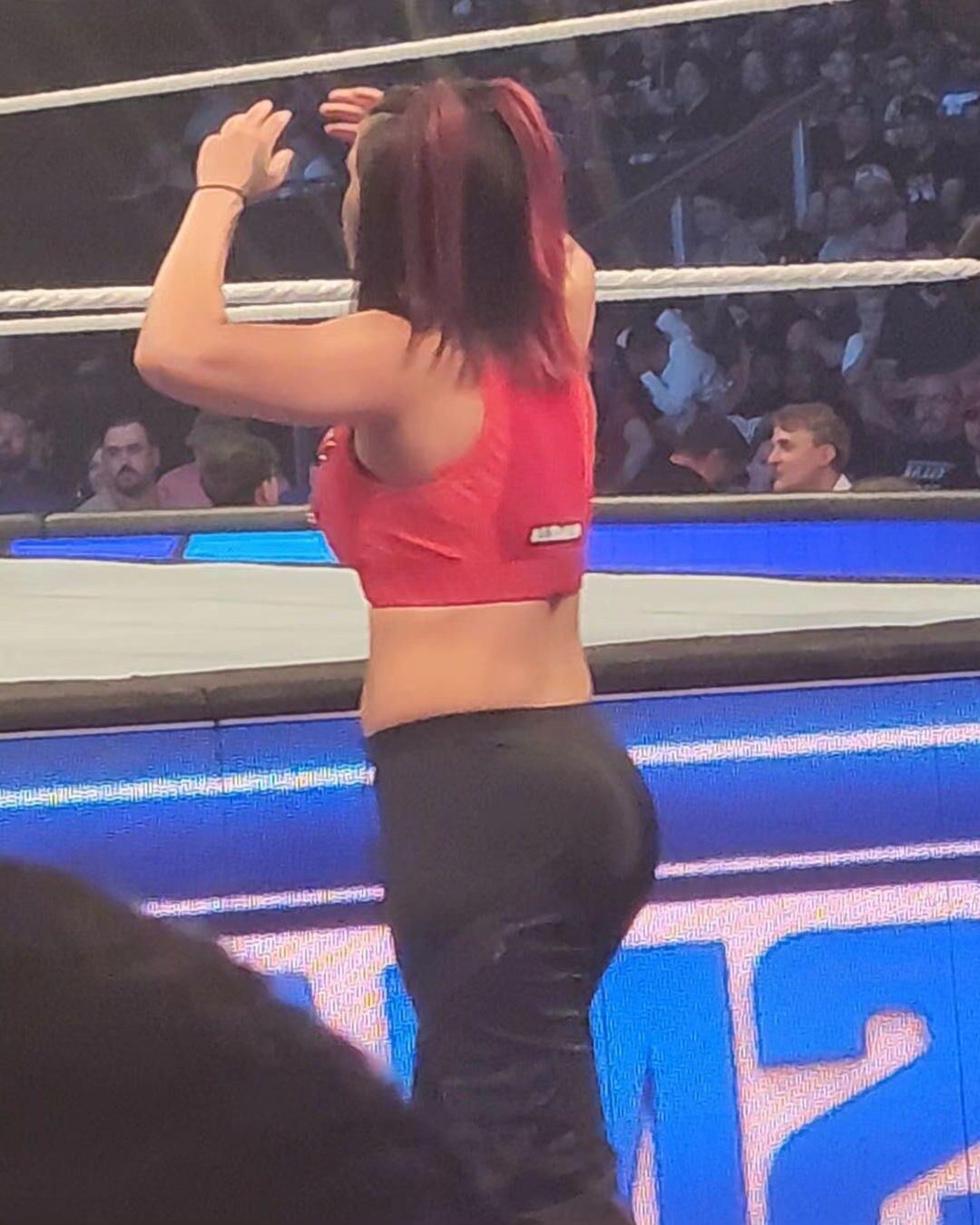 Bayley