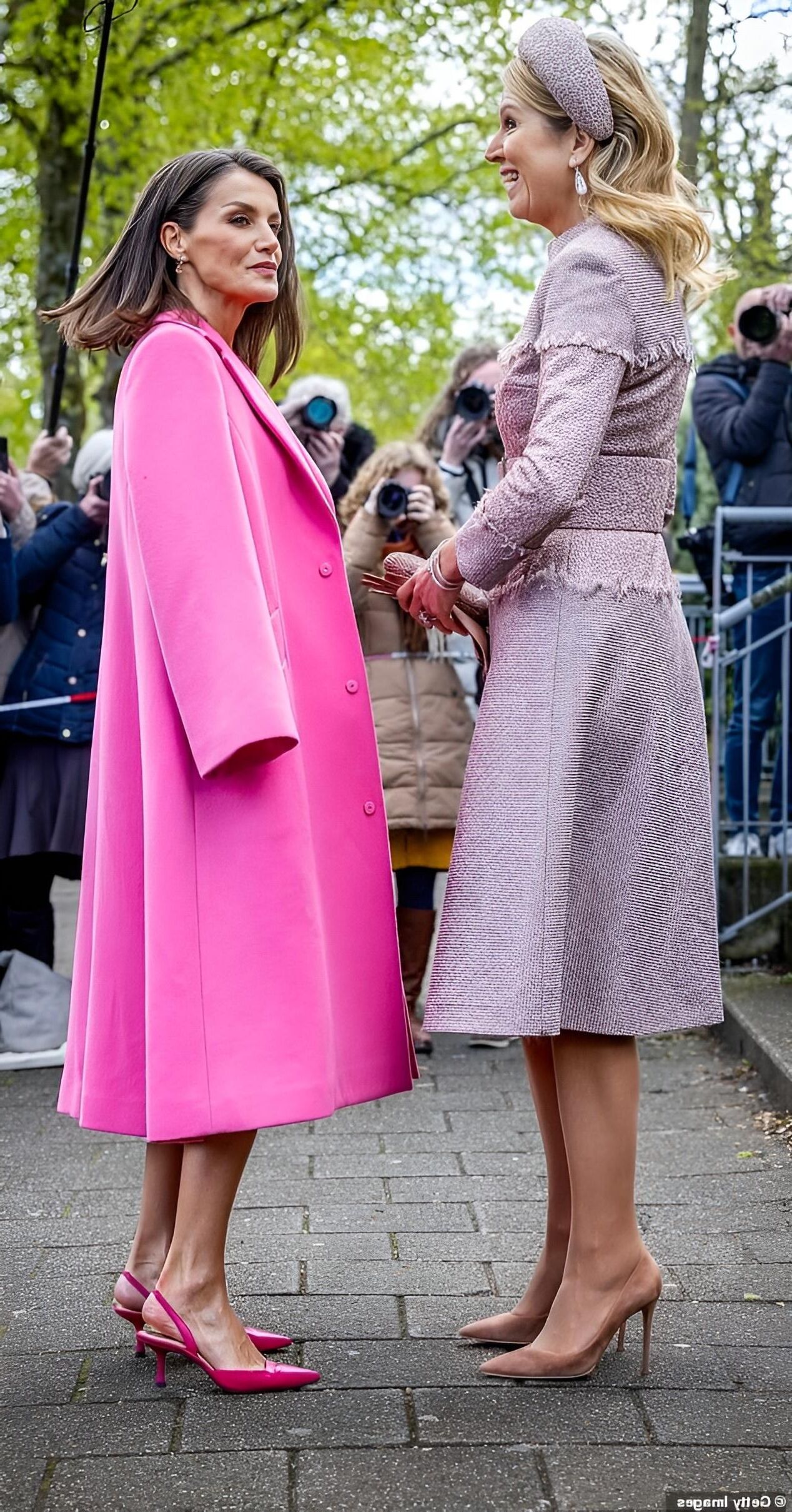 Chiennes royales