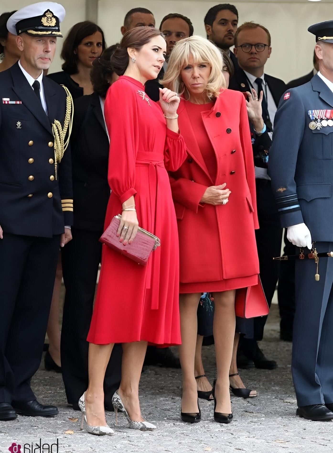 Royal Pupe Pivi