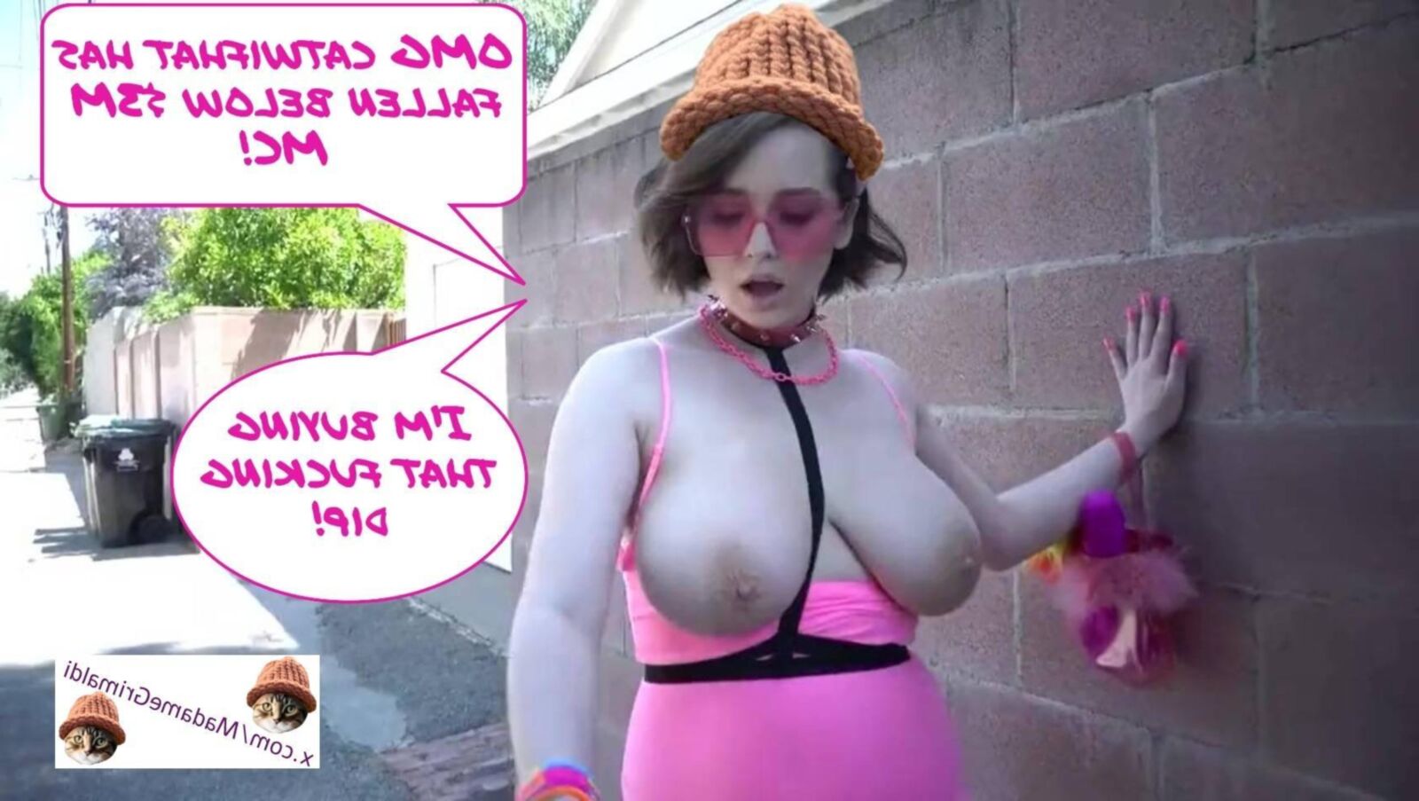Pornsluts y aficionados que van jodidamente locos Catwifhat Cwif meme