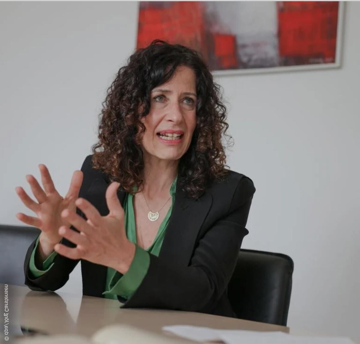 Politikerinnen 