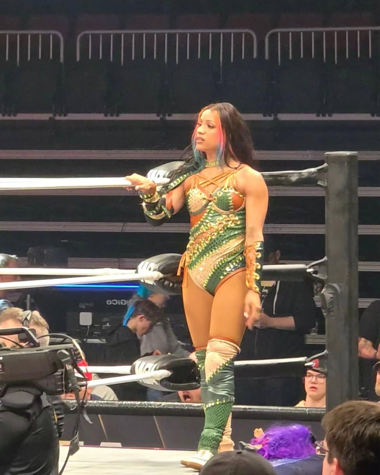 WWE Wrestling Divas Mix 