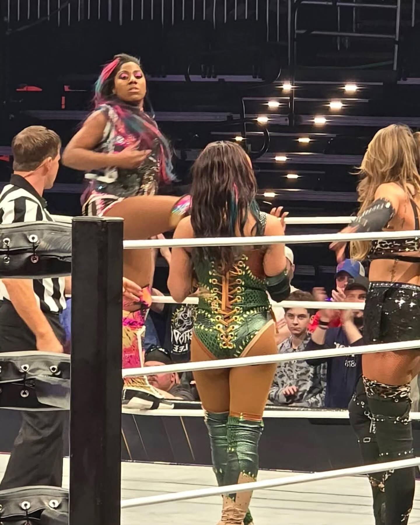 WWE Wrestling Divas Mix 