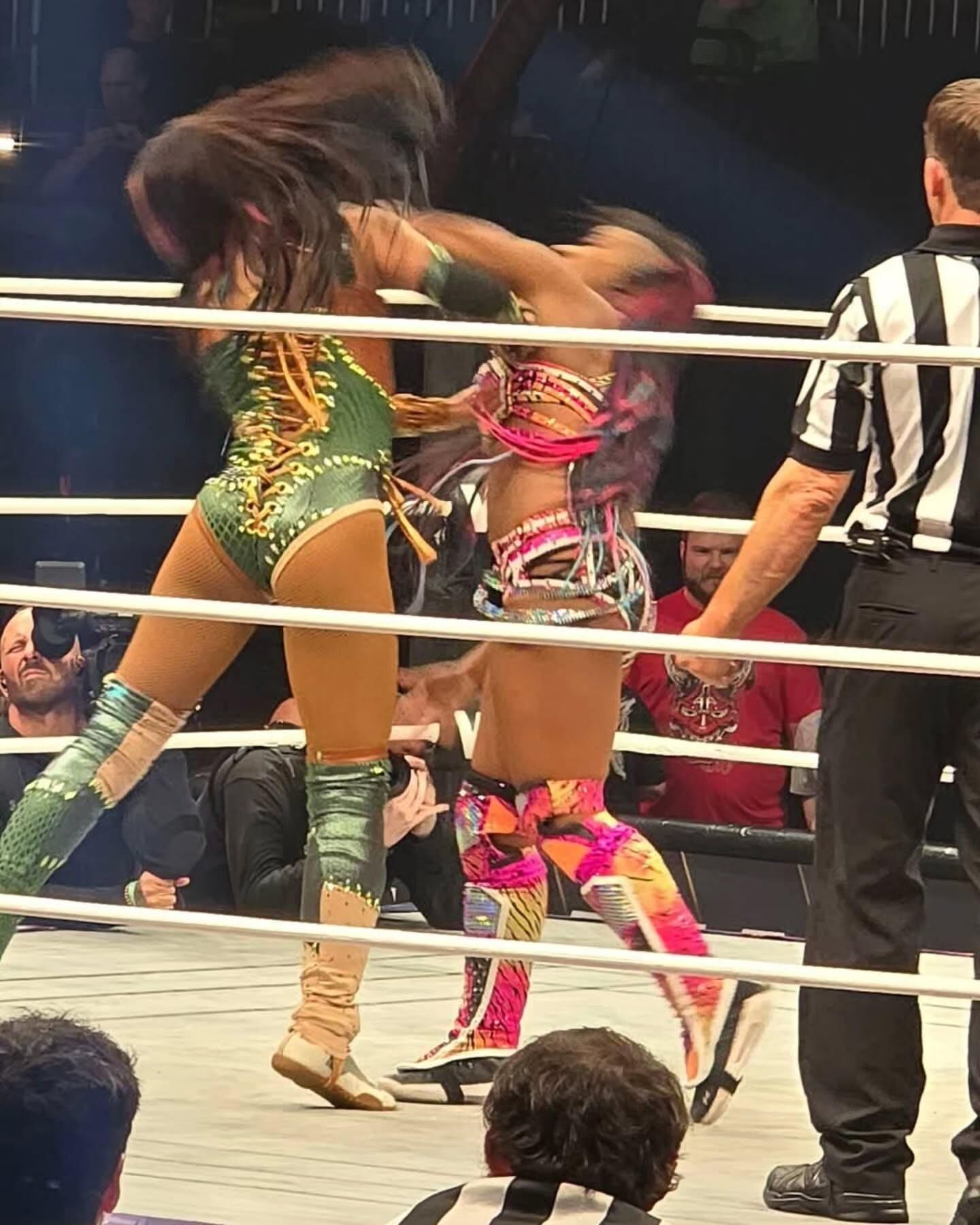 WWE Wrestling Divas Mix 