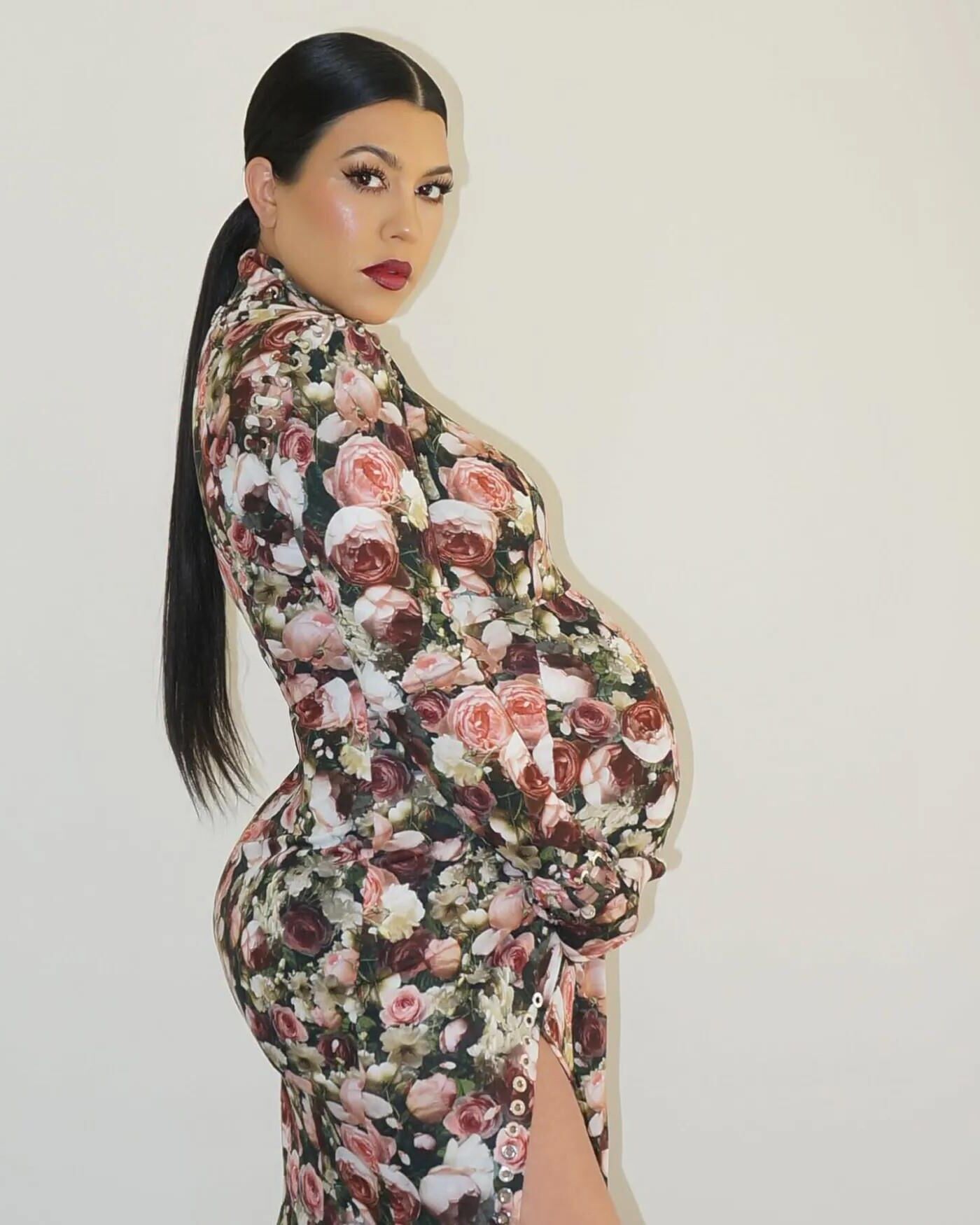 Putas de celebridades embarazadas, material de cría