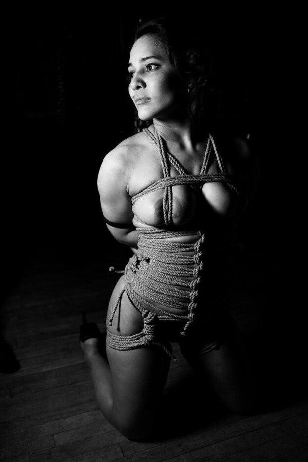 Shibari und Seilbindung