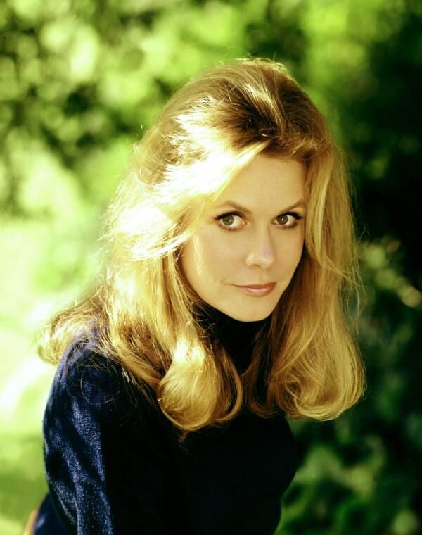 Be Bewitched