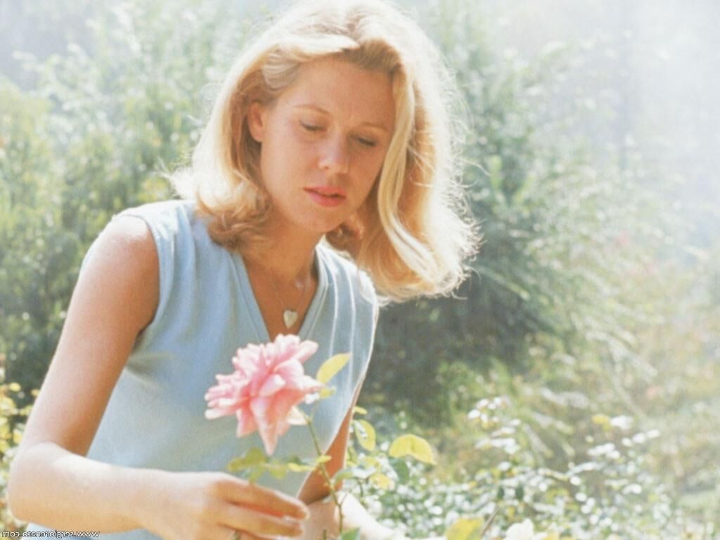 Be Bewitched