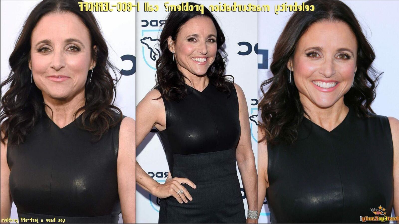 Julia Louis Dreyfus