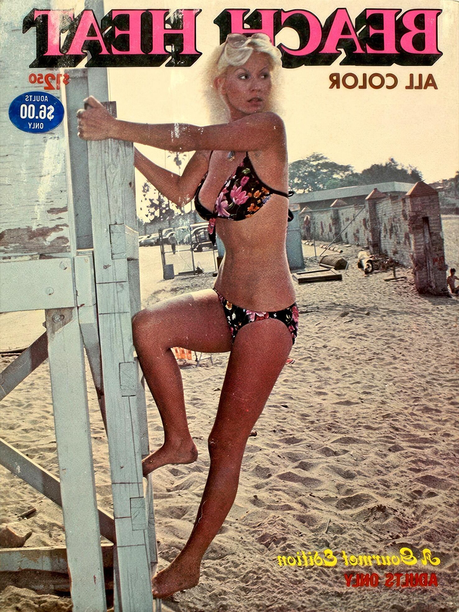 Seka Beach Heat Sekafanxxx Sammlung Upgrade