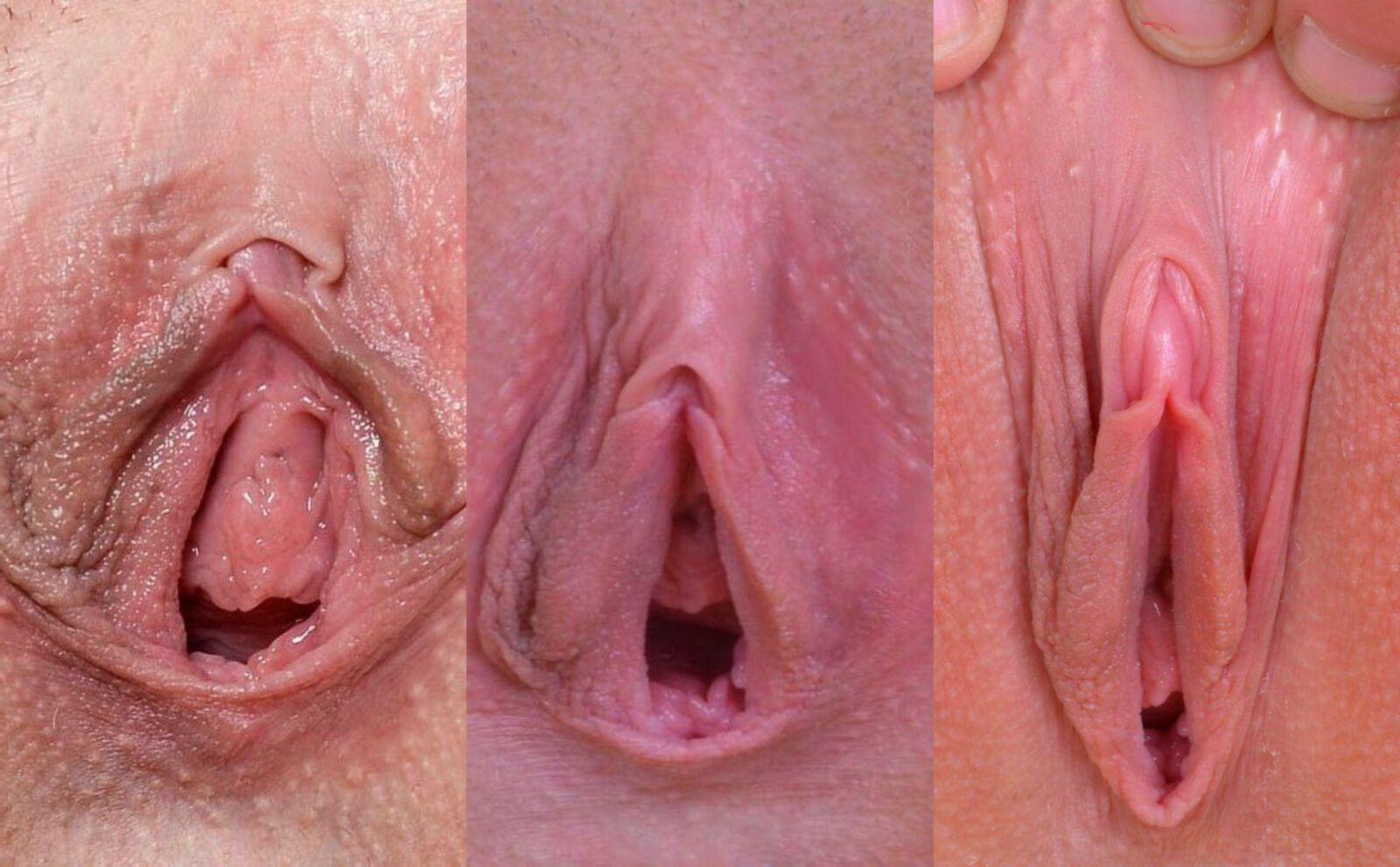 Rachel James' Beautiful Spread Cunt