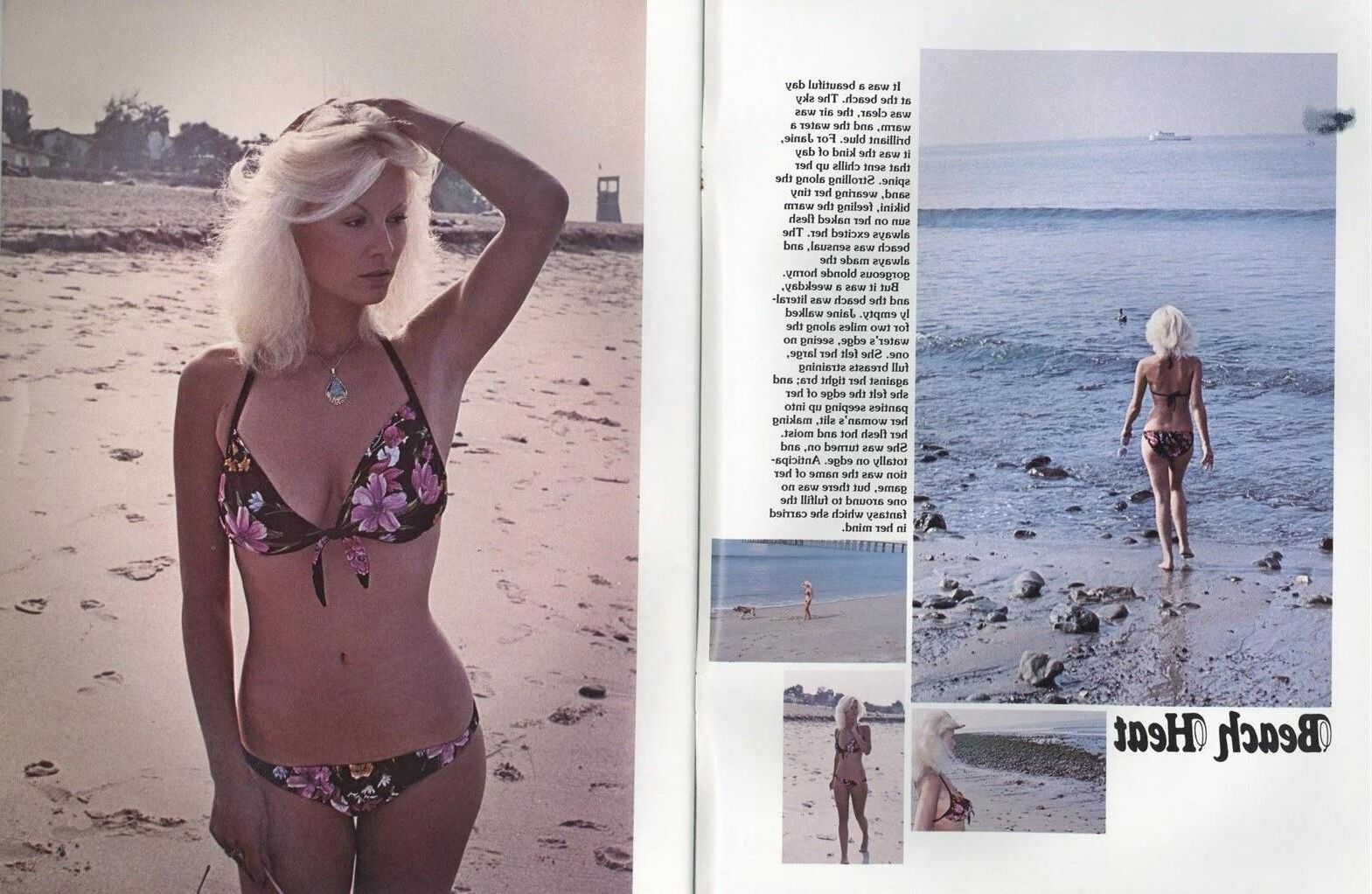 Seka Beach Heat Sekafanxxx Sammlung Upgrade