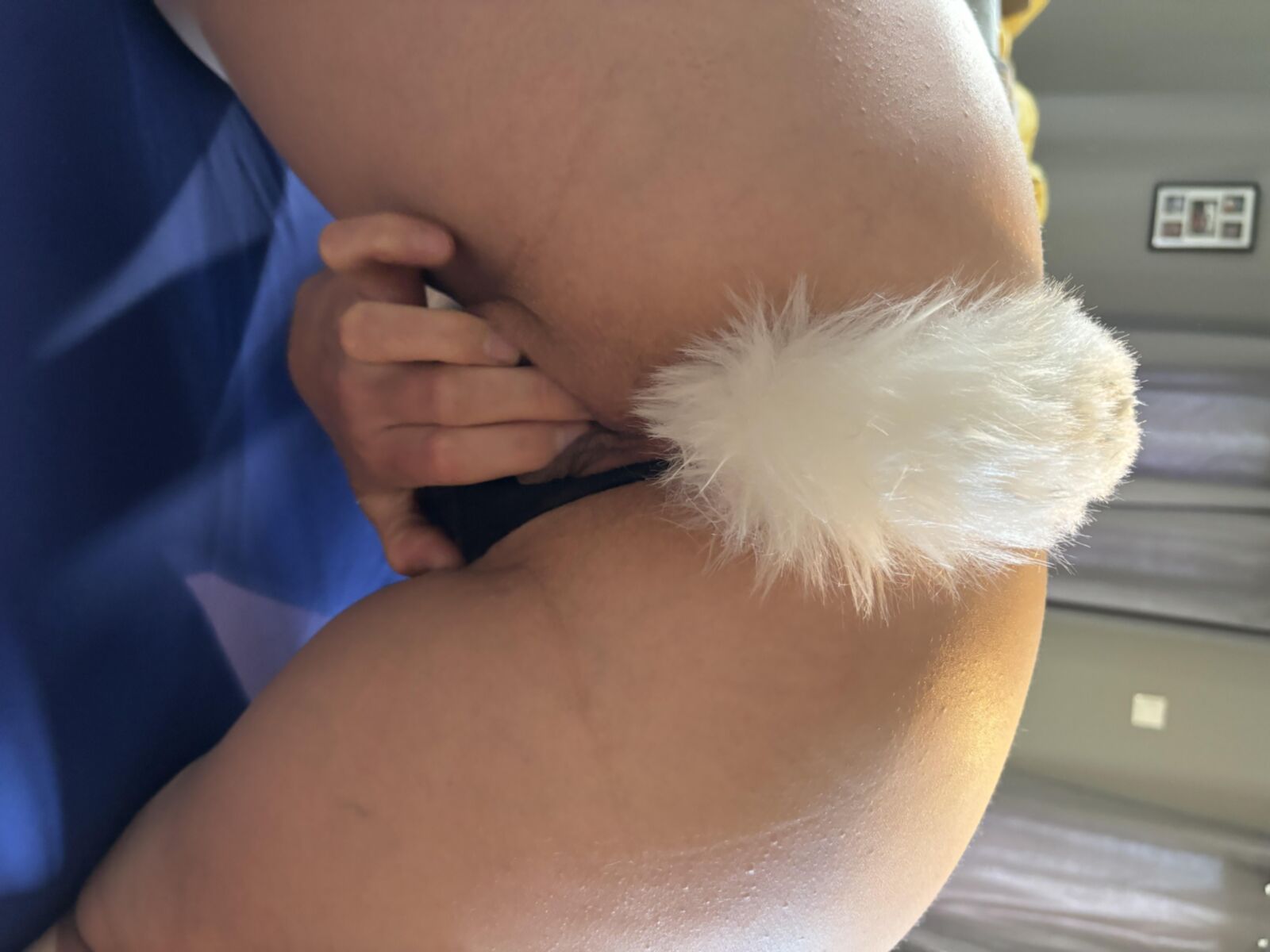 セクシーなお尻の尾