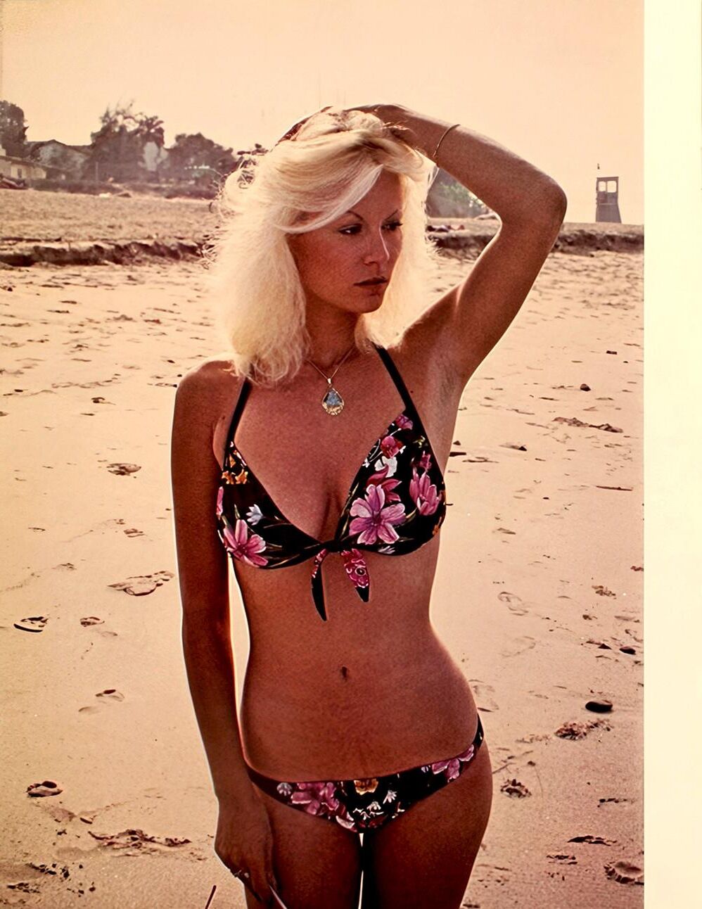 Seka Beach Heat Sekafanxxx Sammlung Upgrade
