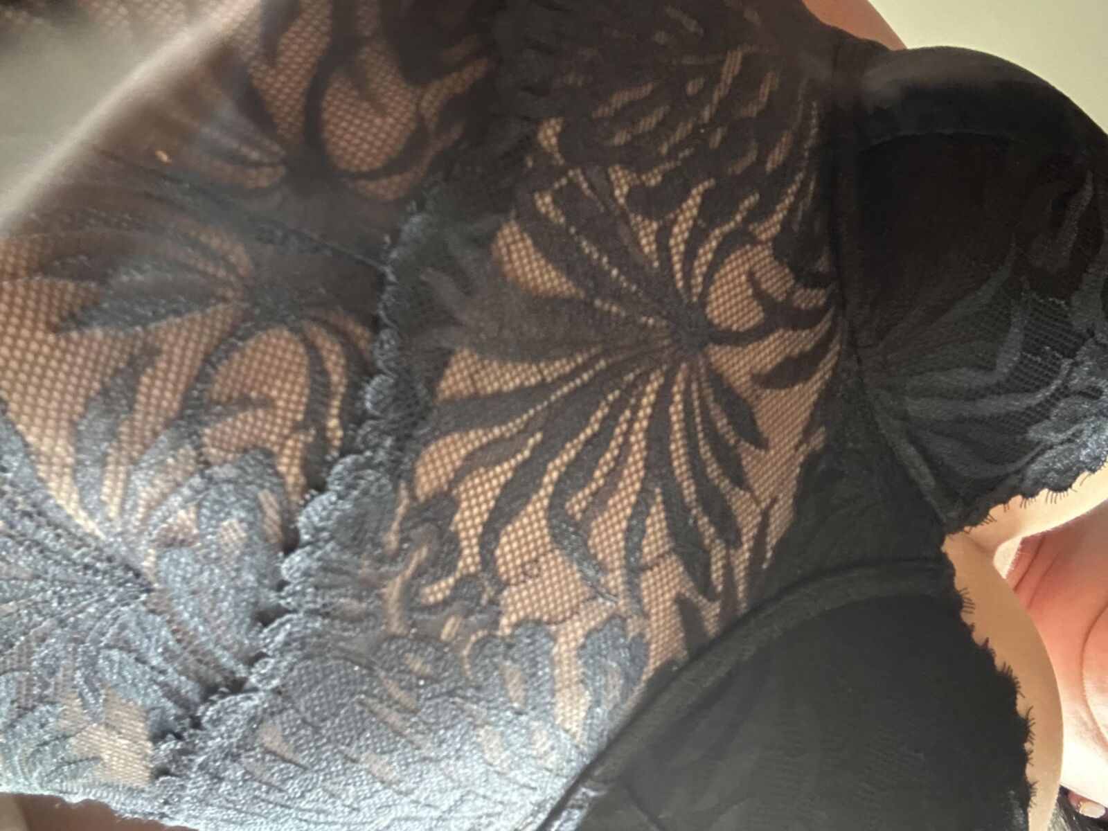 セクシーなお尻の尾