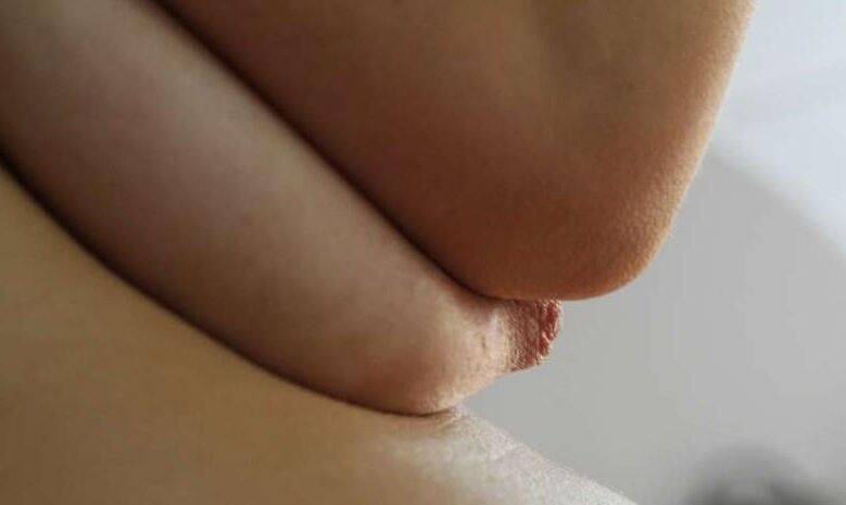 Big saggy udders 