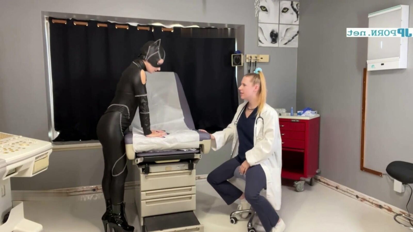 breeding catwoman