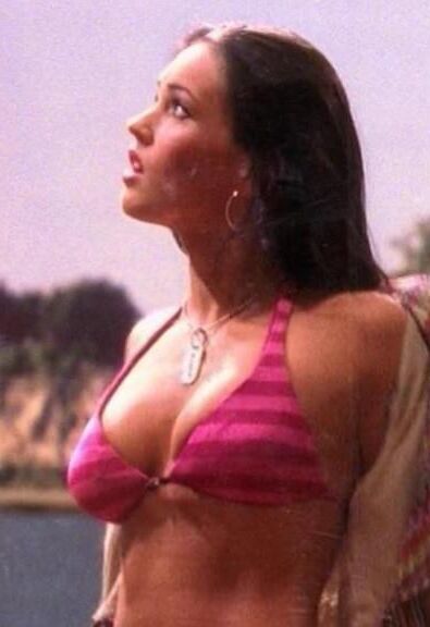 Megan Fox Two and a Half Men #