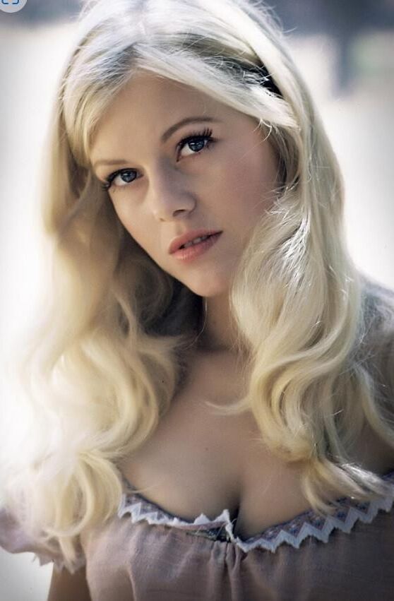 MISTY ROWE HEE HAW
