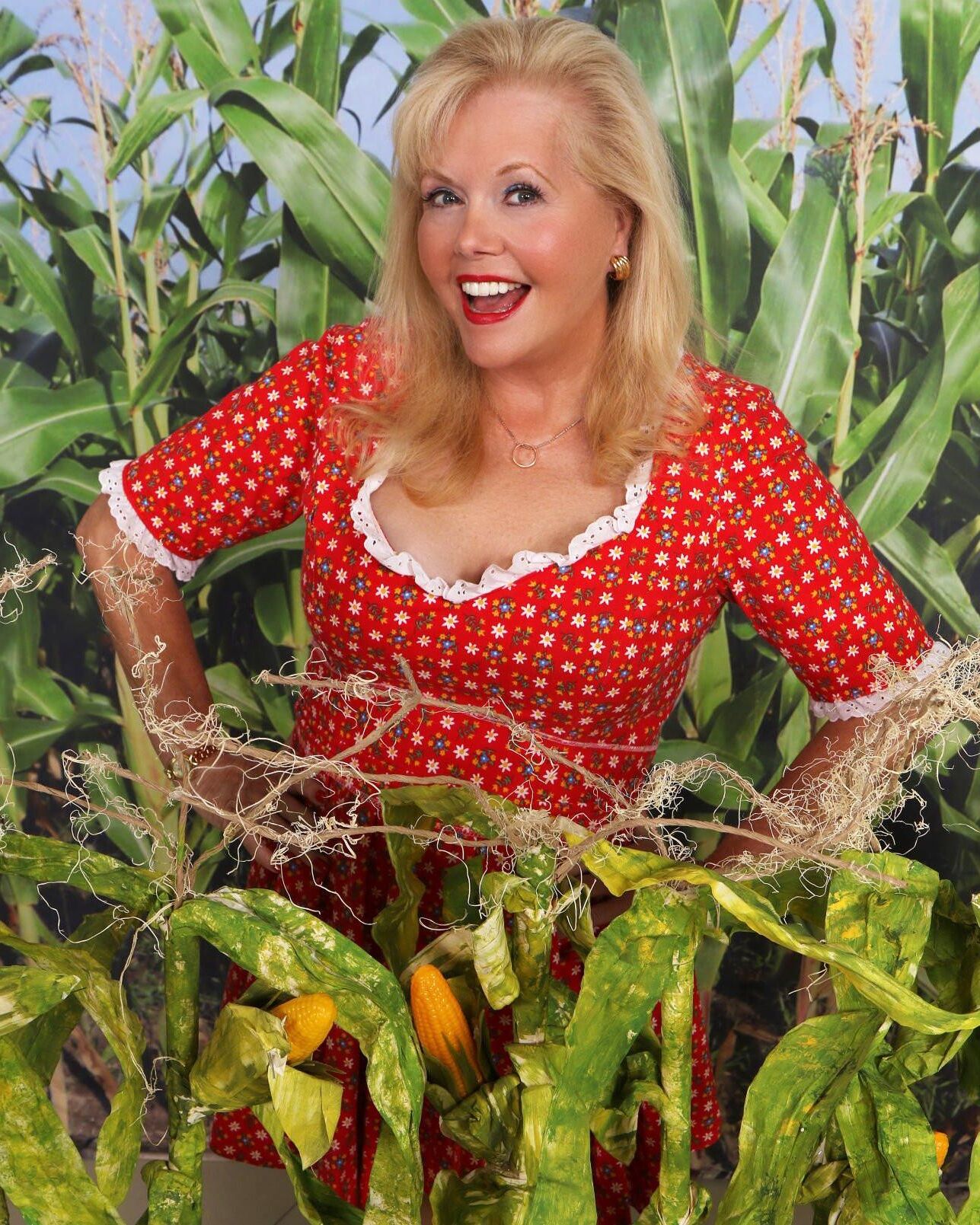 MISTY ROWE HEE HAW