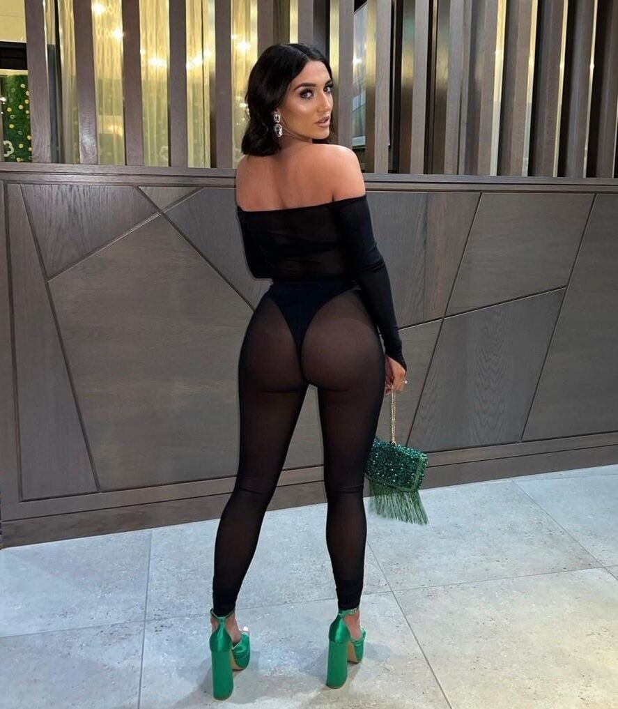 The Pinnacle of Asses 