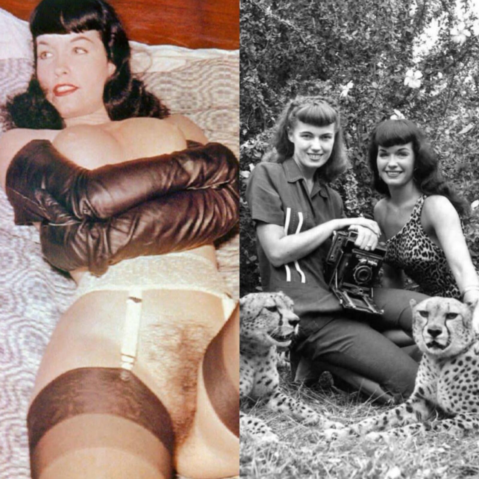 Dressed Undressed Gallery 