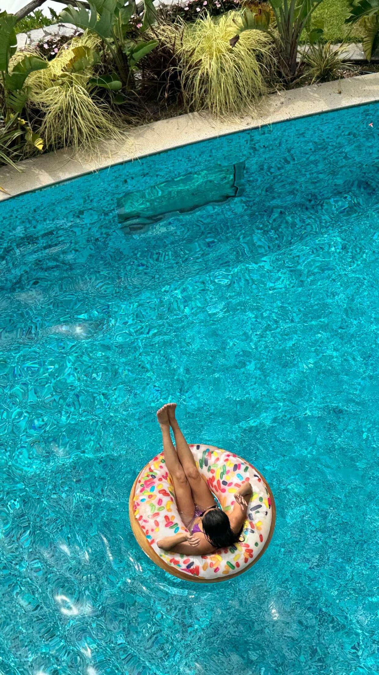 Lily Chee Italy + Friends + Bikini + Big Ass + Cleavage