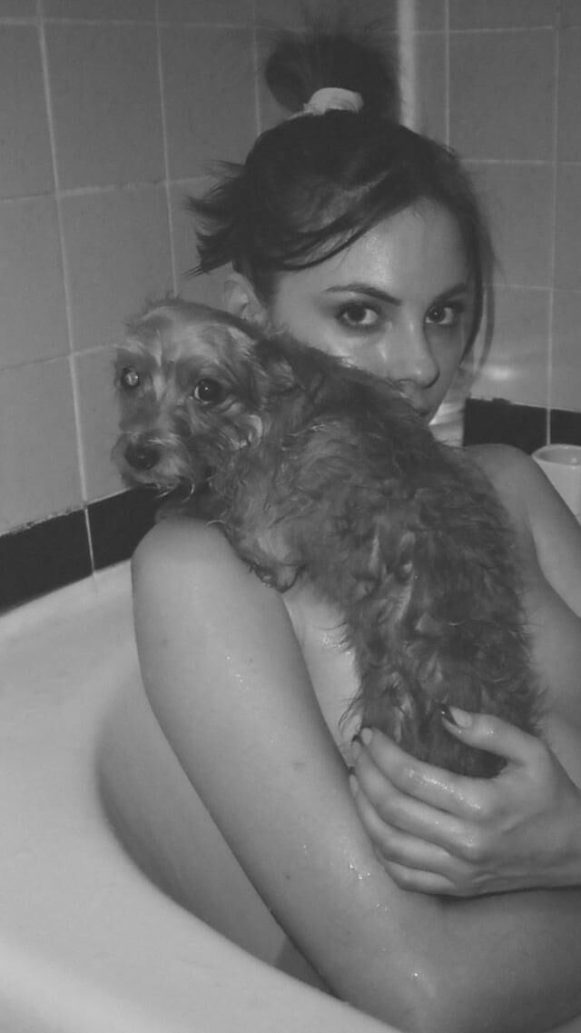 Willa holland (actress)