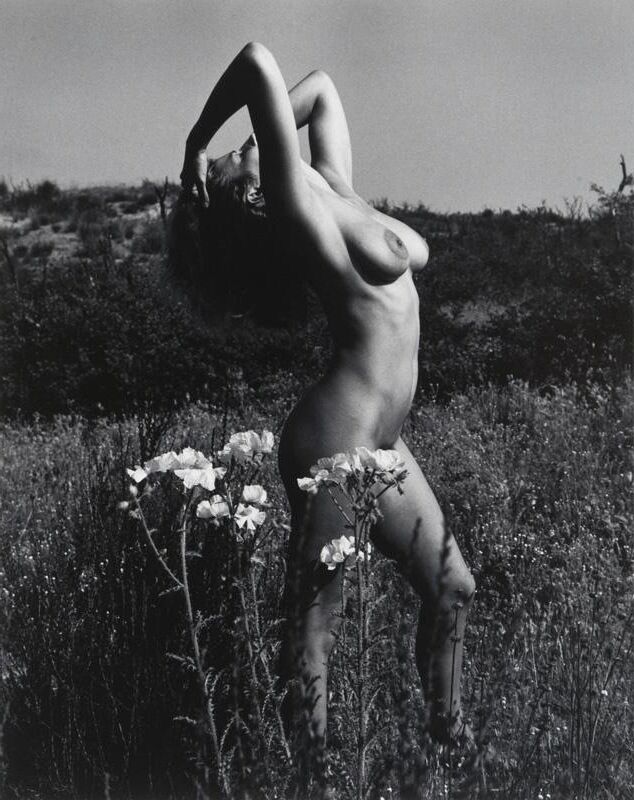Anita Ekberg