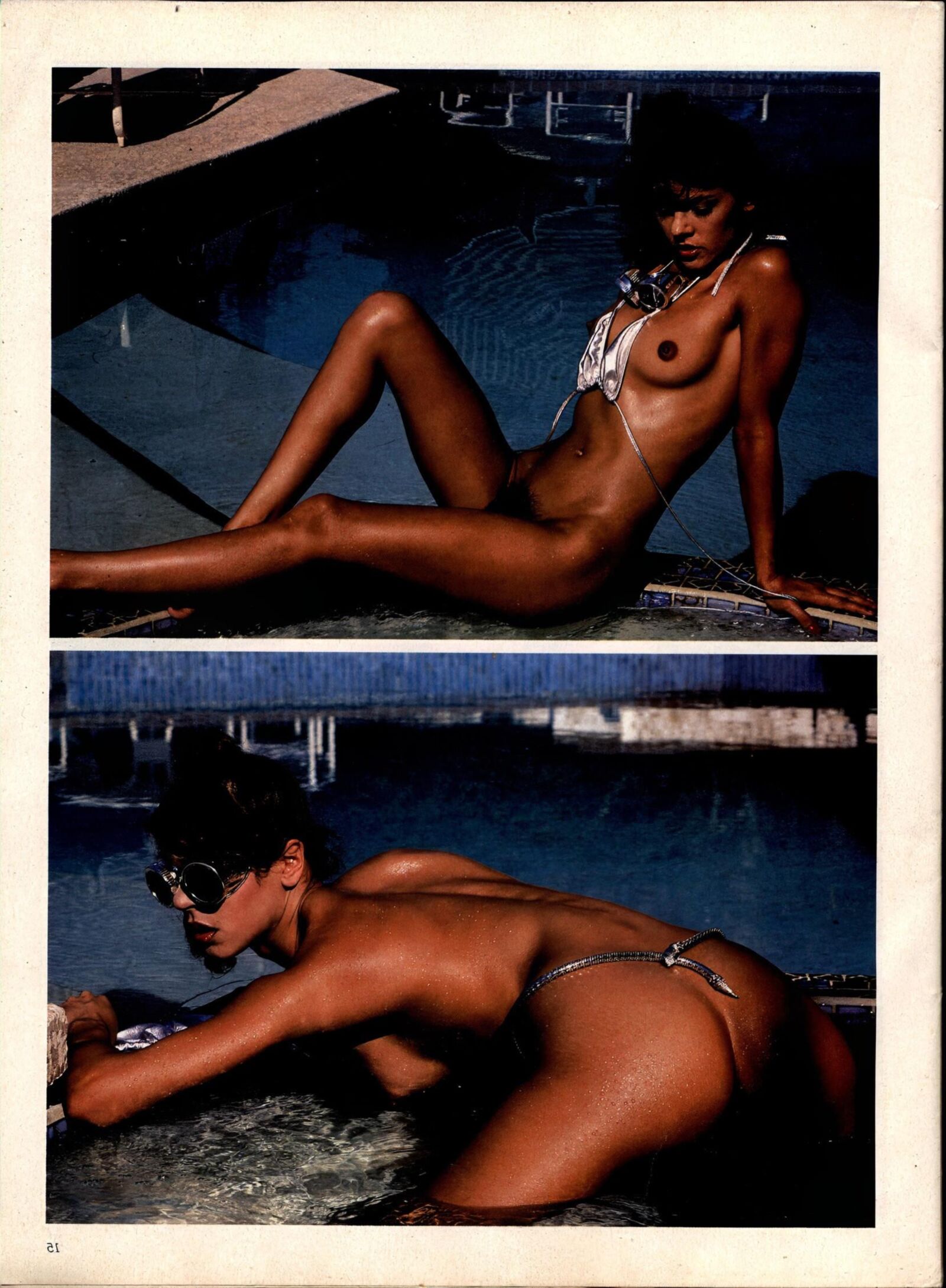model directory（）