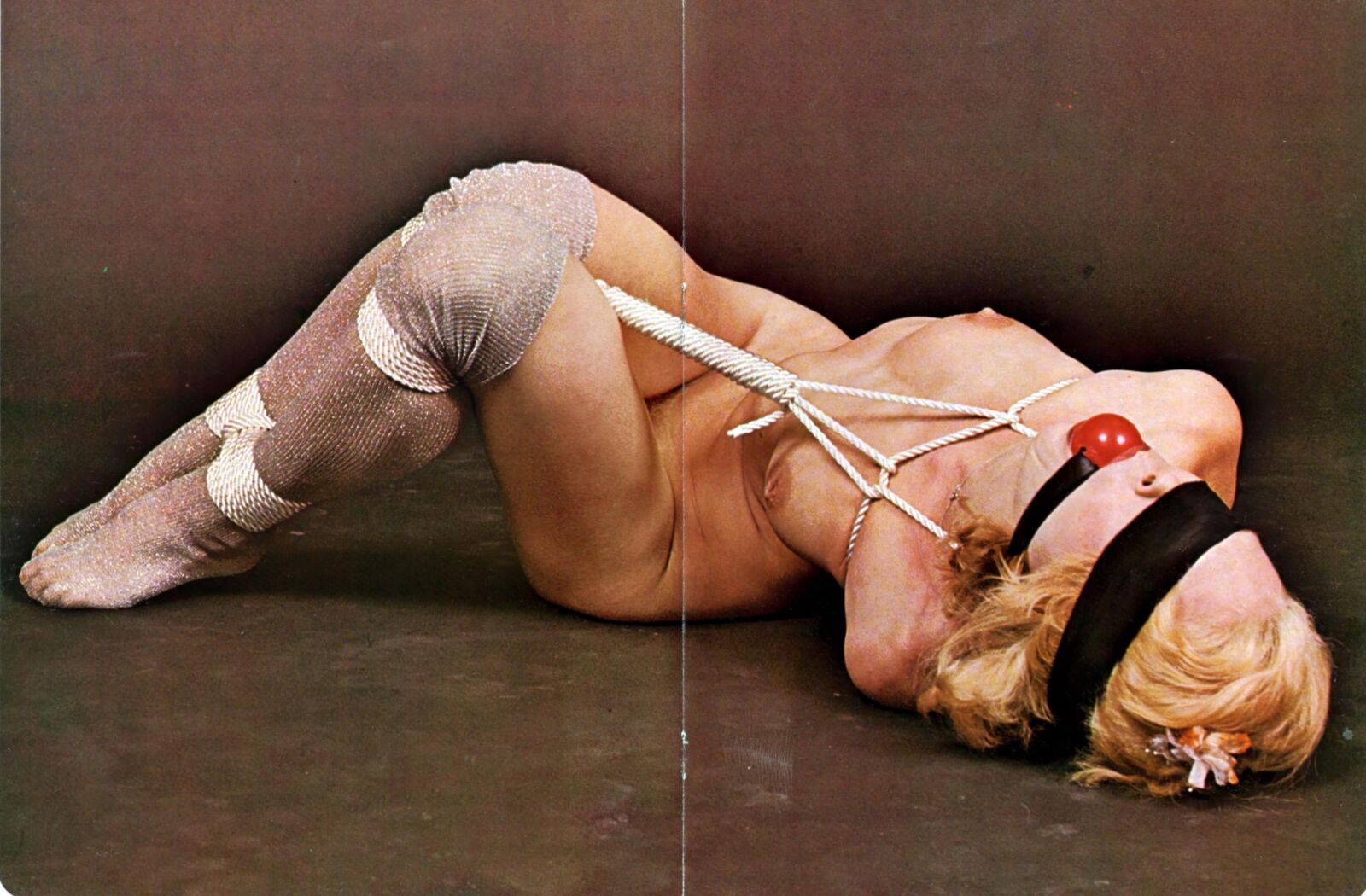 Naked Bondage Volume Number ()