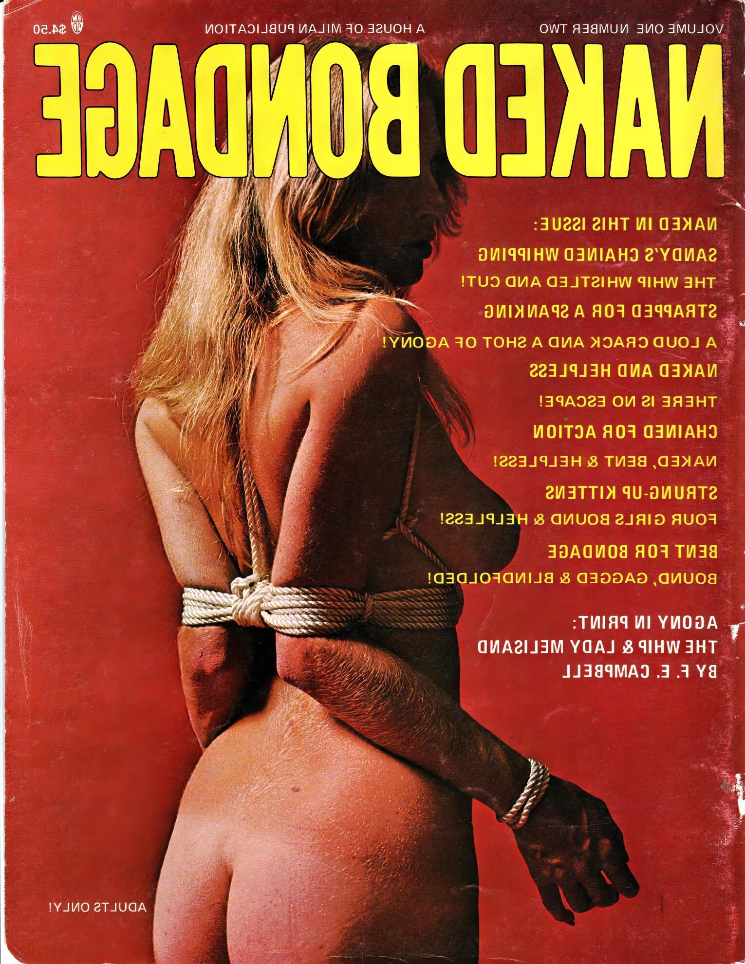 Naked Bondage Volume Number ()