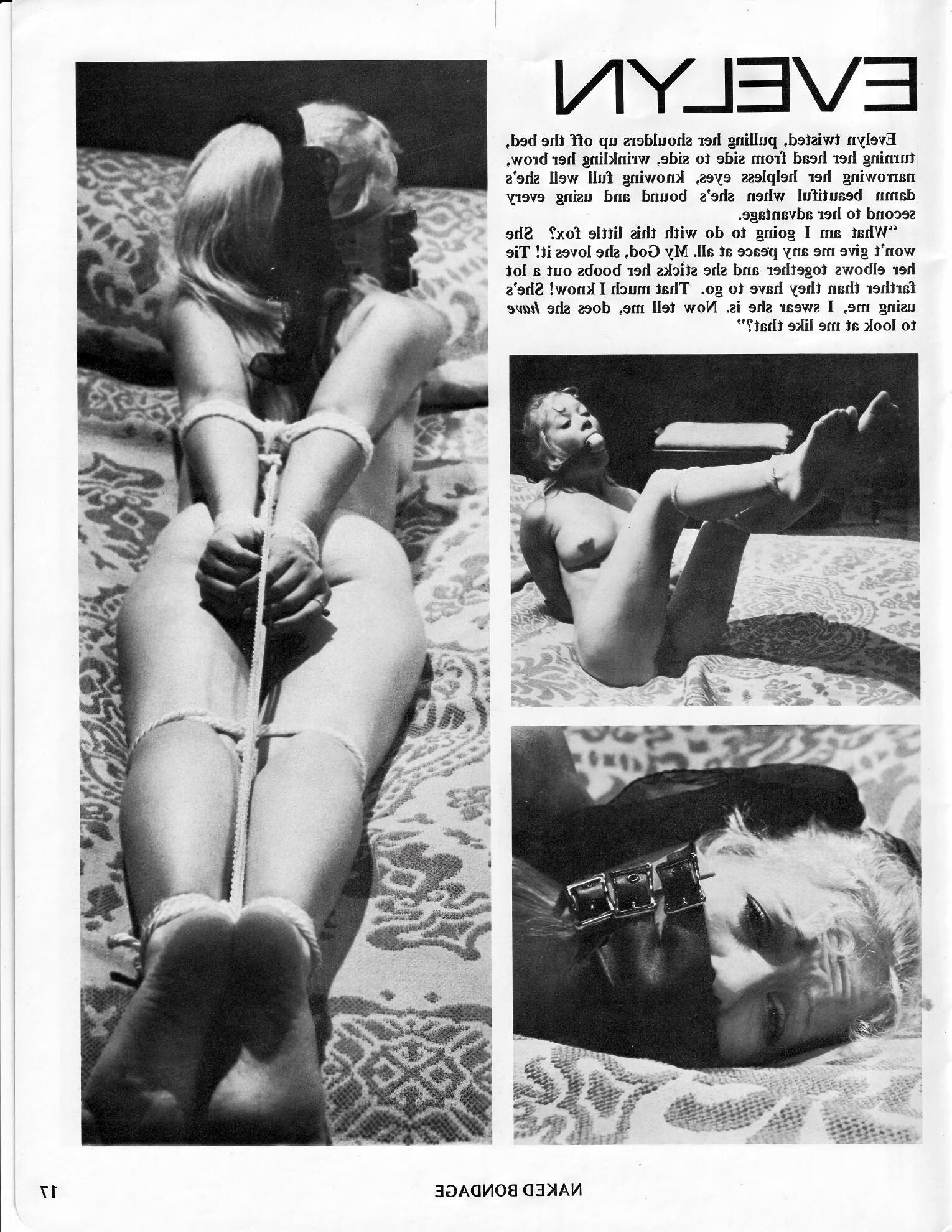 Naked Bondage Volume Number ()