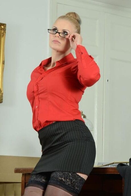 Secretarios y maestros sexys