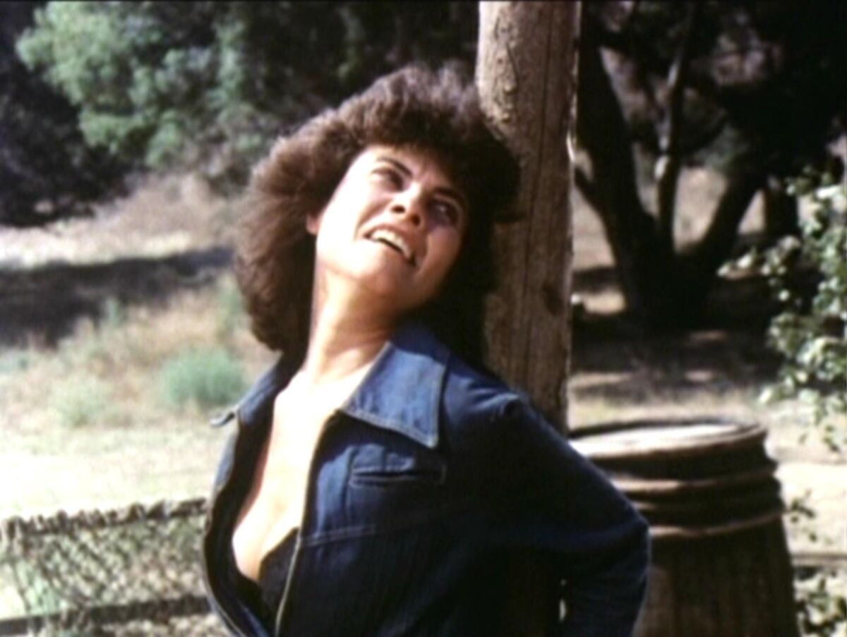 Titten Adrienne Barbeau