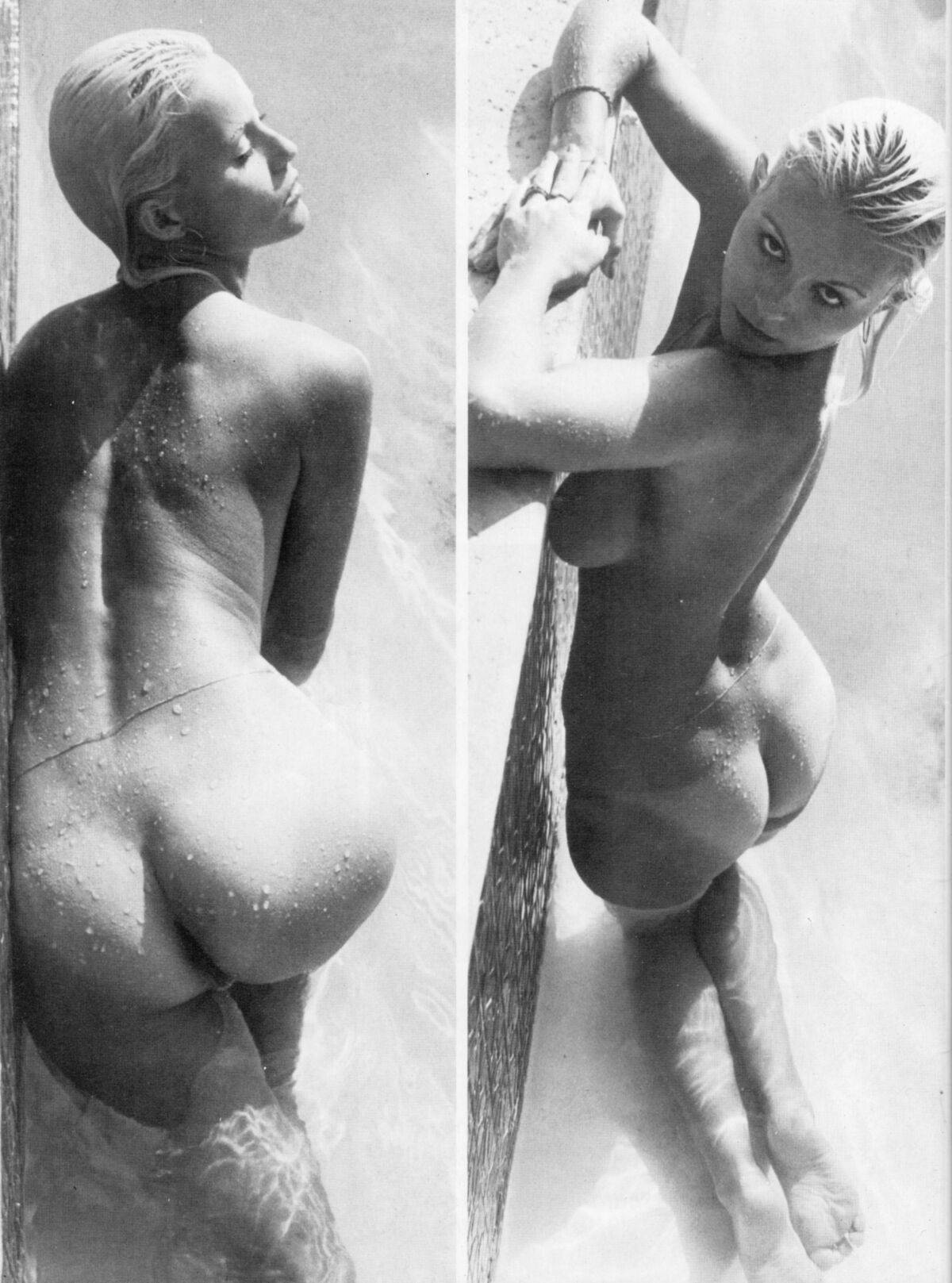 SEKA'S ASS MAGAZINE ENHANCED SEKAFANXXX COLLECTION 